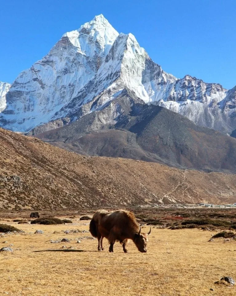 Everest Base Camp Trek In May