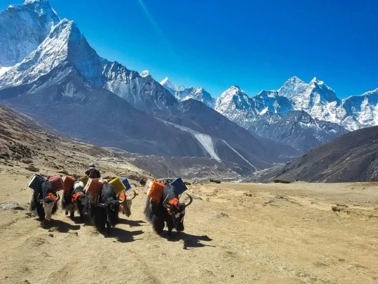 Everest Base Camp Trek in November
