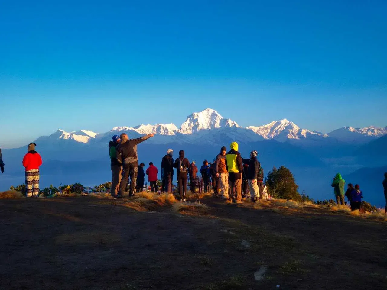 Ghorepani Poon Hill Trek