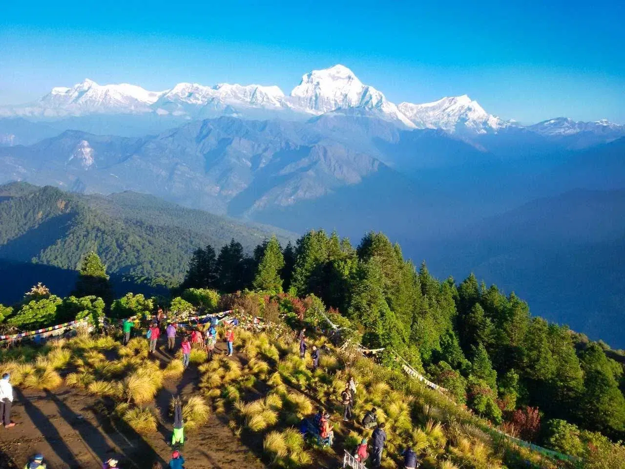 Ghorepani Poon Hill Trek