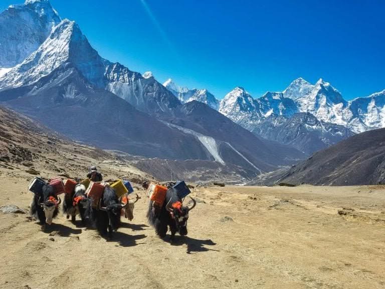 Everest Base Camp Trek in November